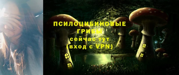 ПСИЛОЦИБИНОВЫЕ ГРИБЫ Аркадак