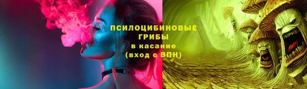 стафф Арсеньев