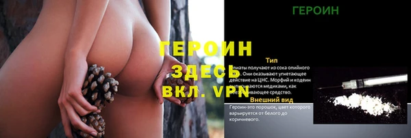 стафф Арсеньев