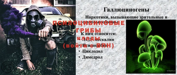 ПСИЛОЦИБИНОВЫЕ ГРИБЫ Аркадак