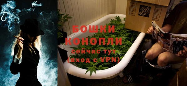 ПСИЛОЦИБИНОВЫЕ ГРИБЫ Аркадак