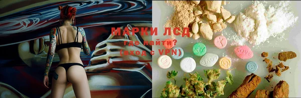 стафф Арсеньев