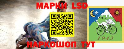 МДПВ Можга