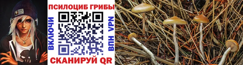 Псилоцибиновые грибы GOLDEN TEACHER  сколько стоит  Каспийск 