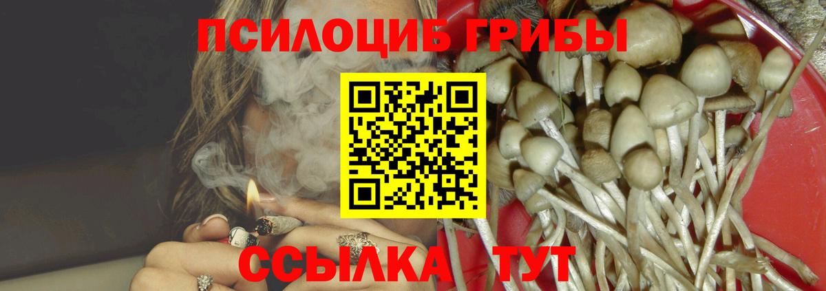 Псилоцибиновые грибы Cubensis  Вход с VPN  Каспийск  Псилоцибиновые грибы GOLDEN TEACHER 